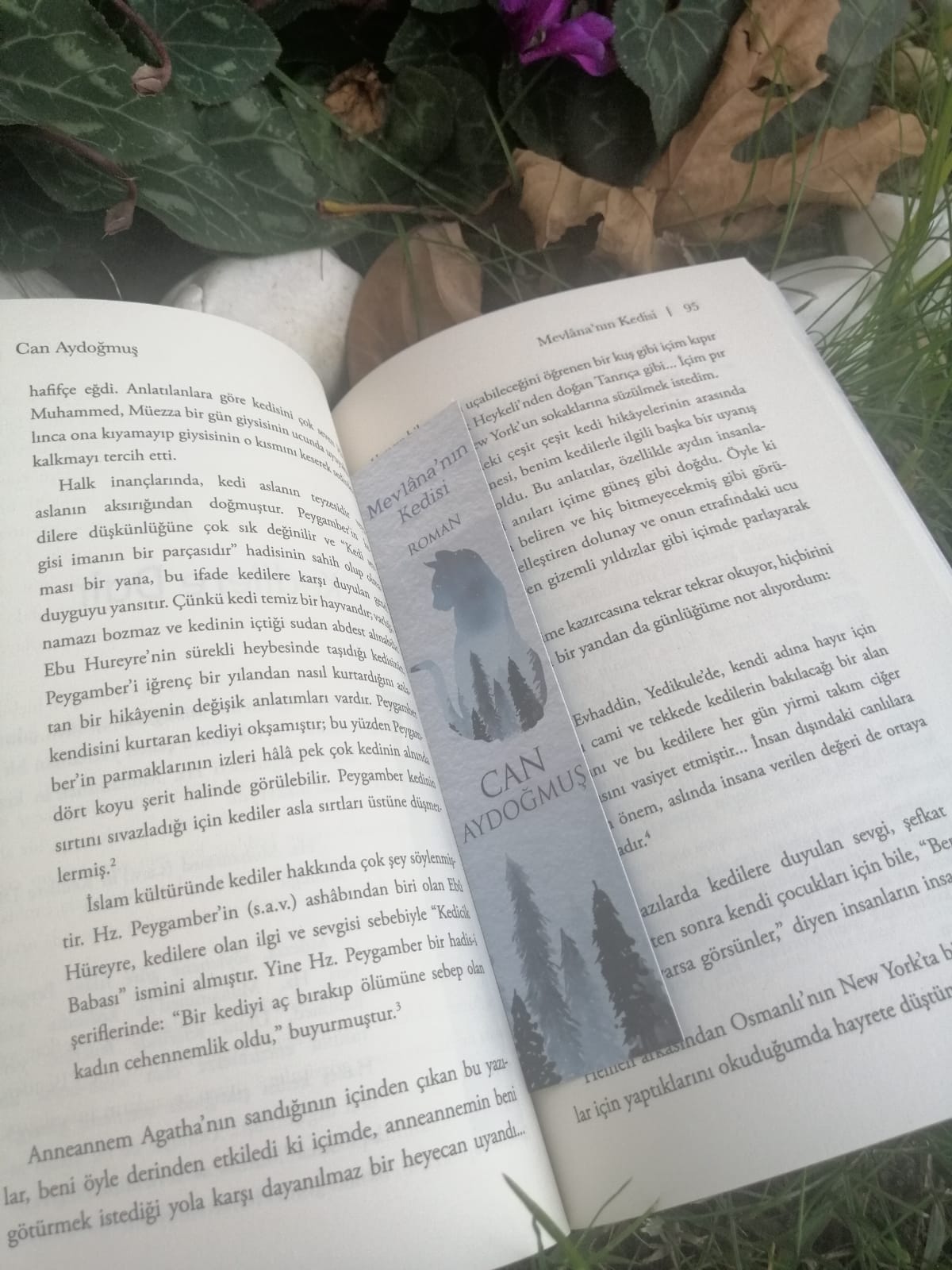 Can Aydoğmuş imzalı Mevlâna’nın Kedisi romanı