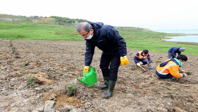 Eyüpsultan Belediye Başkanı Deniz Köken, Eyüpsultan Lavanta Cenneti Oluyor