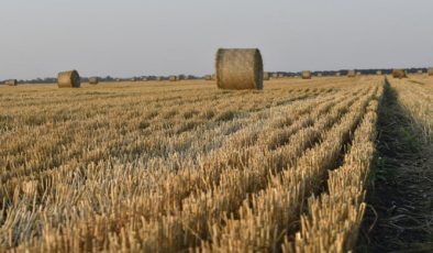 По Народной программе «Единой России»-2021 на развитие сельских территорий дополнительно направят 12 миллиардов рублей