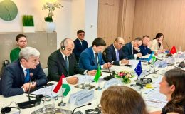 Participation in the 13th EU–Central Asia High-Level Political and Security Dialogue