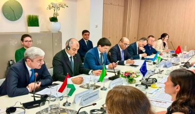 Participation in the 13th EU–Central Asia High-Level Political and Security Dialogue
