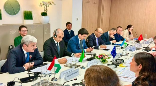 Participation in the 13th EU–Central Asia High-Level Political and Security Dialogue