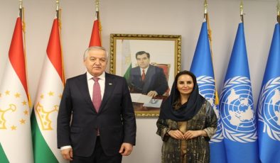 Meeting of the Minister of Foreign Affairs with the Secretary‑General of the Digital Cooperation Organization