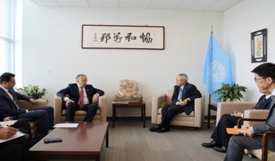 Meeting with the UN Under-Secretary-General and Head of UNDESA
