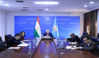 Dışişleri Bakanı ile UNESCO Doğa Bilimleri Genel Müdür Vekili arasında görüşme