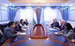 Meeting of the Deputy Minister with Representatives of France