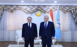 Meeting of the Minister of Foreign Affairs with the Deputy Minister of Foreign Affairs and International Cooperation of the Italian Republic