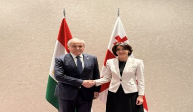 Gürcistan Başbakan Yardımcısı ve Dışişleri Bakanı ile görüşme
