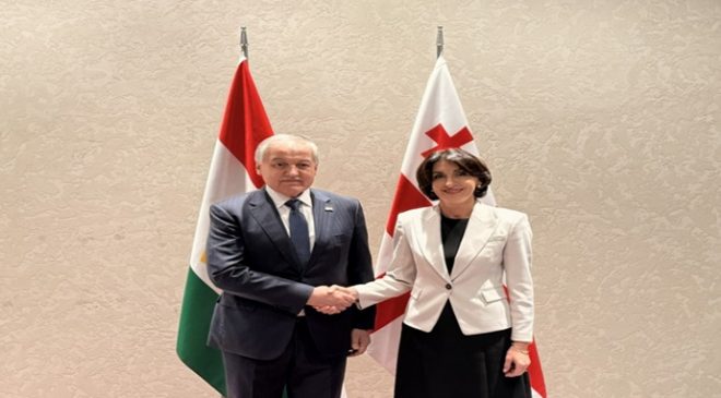 Gürcistan Başbakan Yardımcısı ve Dışişleri Bakanı ile görüşme