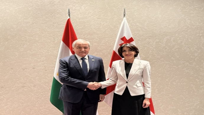 Gürcistan Başbakan Yardımcısı ve Dışişleri Bakanı ile görüşme