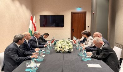 Meeting with the Deputy Prime Minister, Minister of Foreign Affairs of Georgia