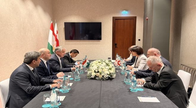 Meeting with the Deputy Prime Minister, Minister of Foreign Affairs of Georgia