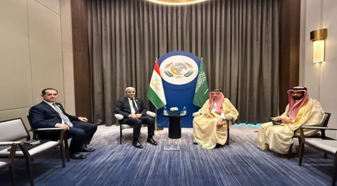 Bilateral Meetings of Deputy Minister of Foreign Affairs of Tajikistan in Iraq