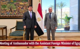 Meeting of Ambassador with the Assistant Foreign Minister of Egypt