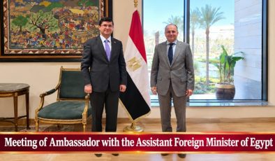 Meeting of Ambassador with the Assistant Foreign Minister of Egypt