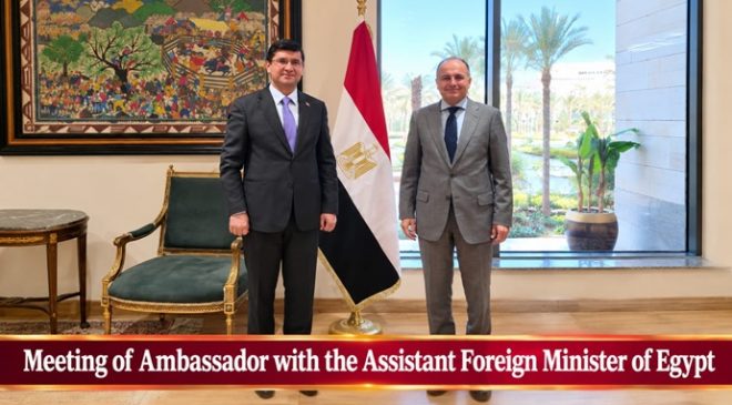 Meeting of Ambassador with the Assistant Foreign Minister of Egypt