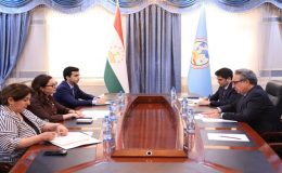 Meeting of the Deputy Minister of Foreign Affairs with the Ambassador of the Republic of Azerbaijan