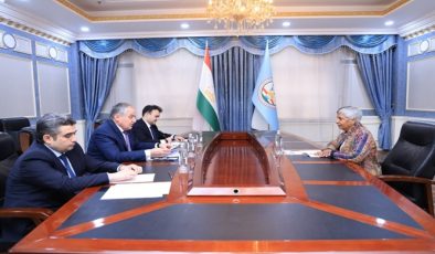 Meeting of the Minister of Foreign Affairs with the UN Resident Coordinator in Tajikistan