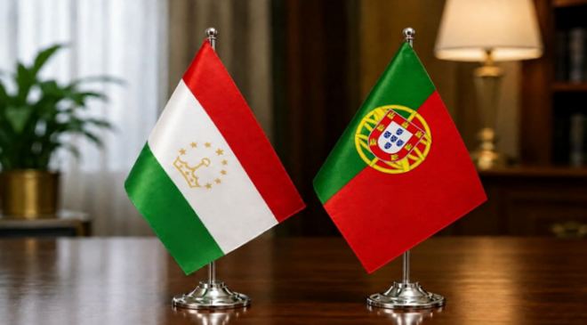 Acceptance of the copy of the credentials of the Ambassador of the Portuguese Republic