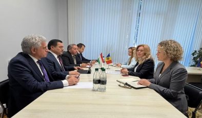 Meeting with the Co-Chair of the Tajik-Moldovan Intergovernmental Commission