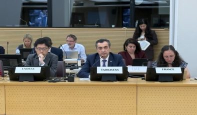 Participation of the First Deputy Minister of Foreign Affairs in the UN-Water Meeting